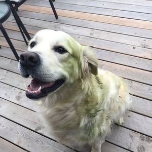 Meet your Posher, Monica